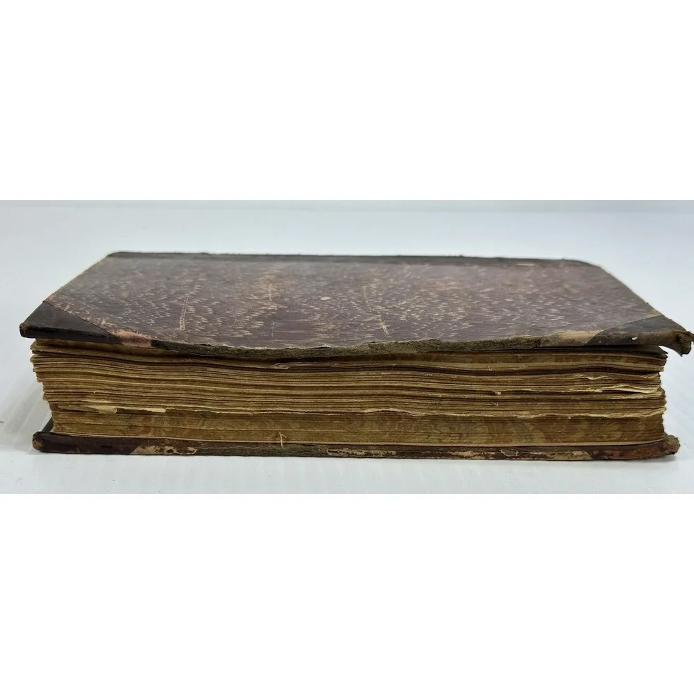 Antique The Mill on the Floss George Eliot Belford Clarke & Co Chicago & NY 1885